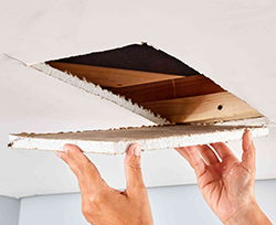 Clearview Ontario Drywall Repair